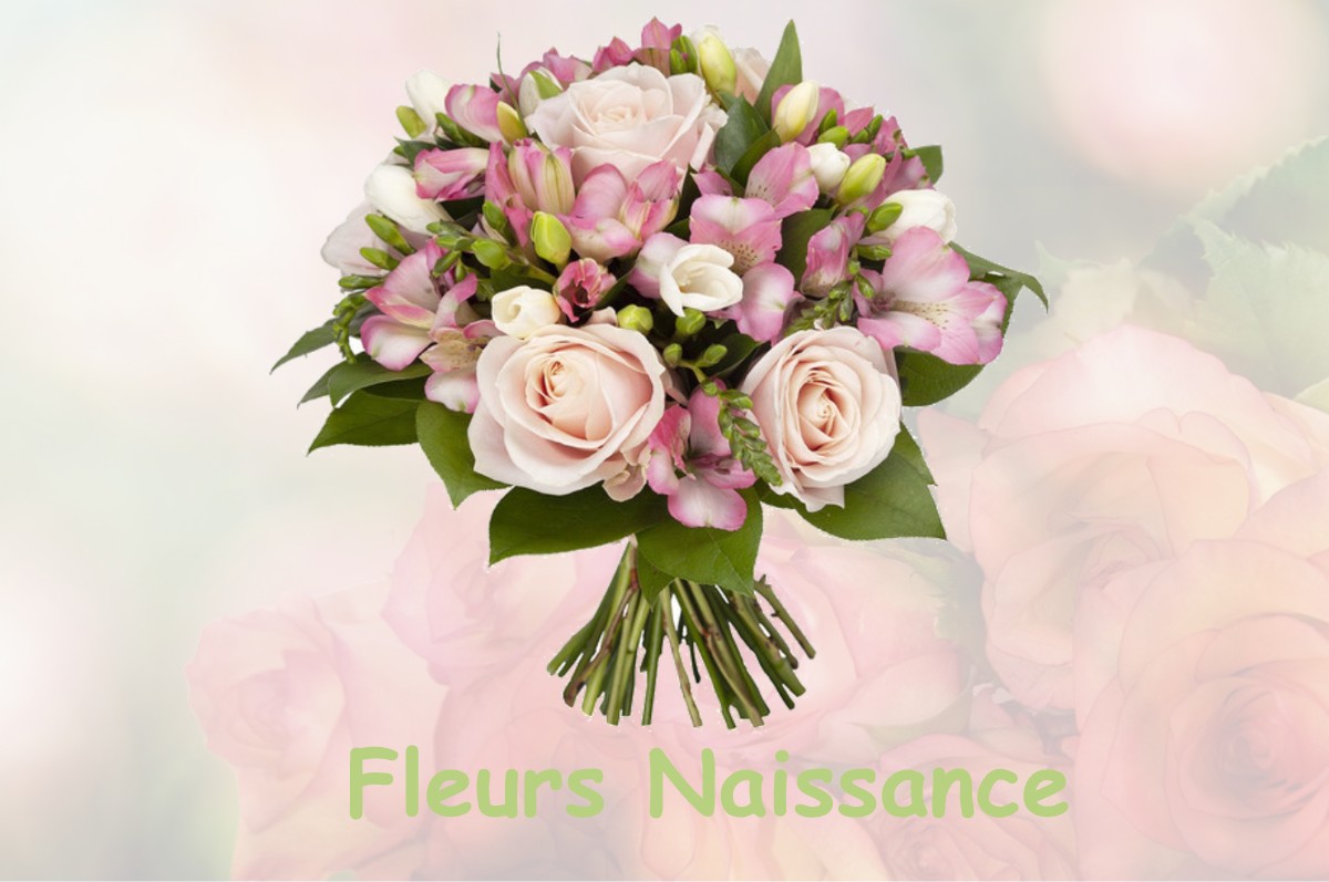 fleurs naissance LOUAN-VILLEGRUIS-FONTAINE